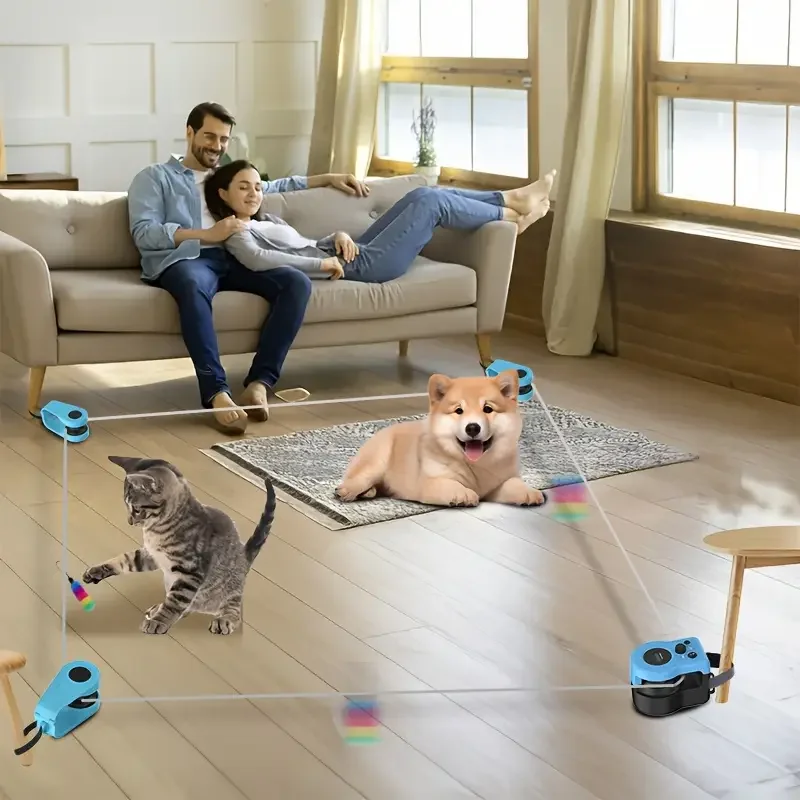 Interactive cat and dog chase toy, USB charging automatic bait